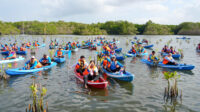 MANGROVE
